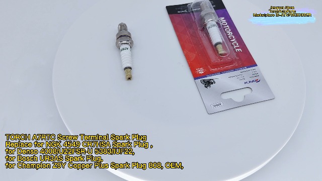 Amazon | 1個 TORCH A7RTC 一般プラグ(分離形/ターミナル付)交換